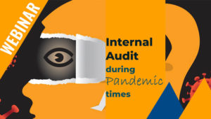 audit audit